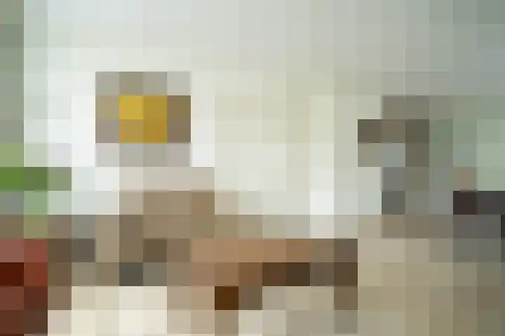 Antoniusstraat 8 Milheeze thumbnail 7