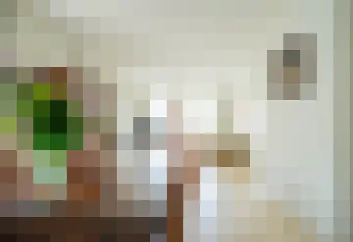 Antoniusstraat 8 Milheeze thumbnail 8