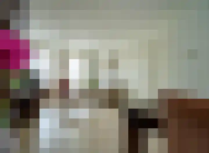 Antoniusstraat 8 Milheeze thumbnail 9