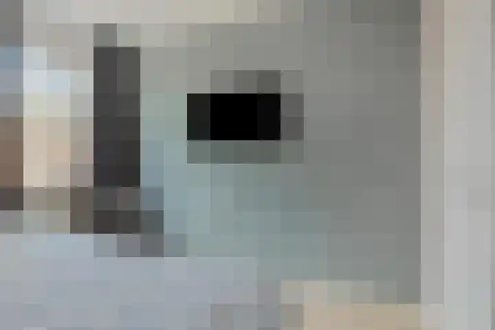 Antoniusweg 10 Esch thumbnail 17