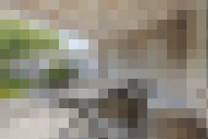Antoniusweg 10 Esch thumbnail 25