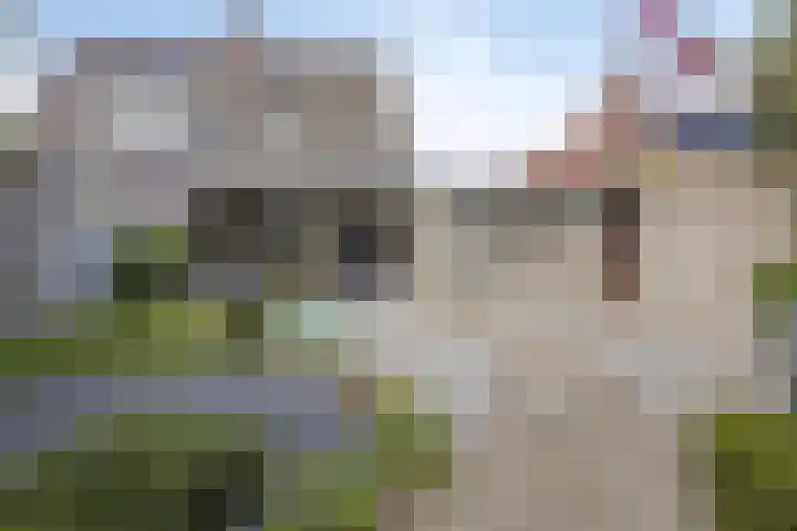 Antoniusweg 10 Esch thumbnail 28