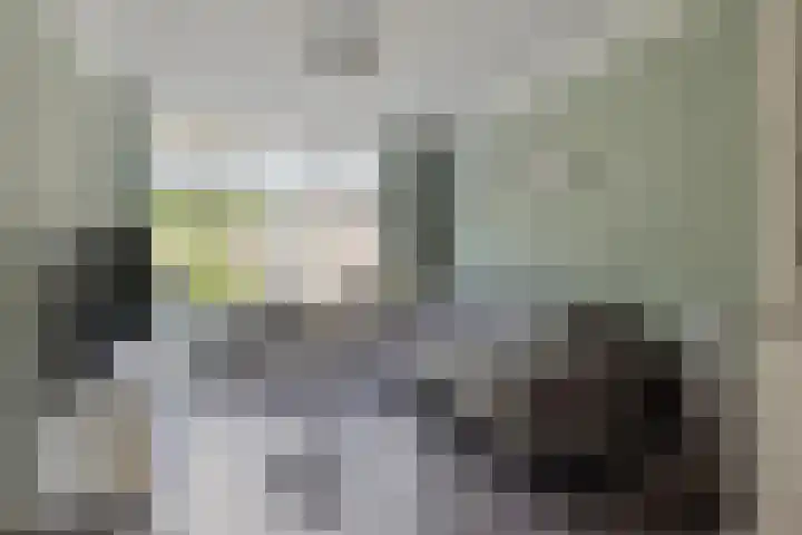 Antoniusweg 10 Esch thumbnail 5