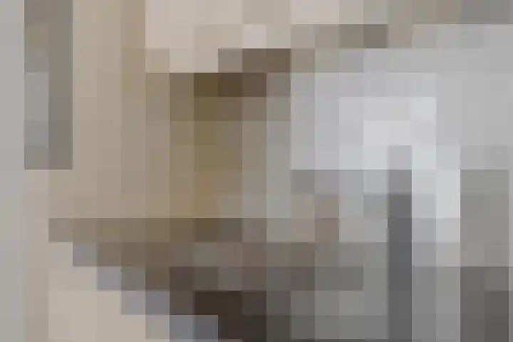 Antoniusweg 10 Esch thumbnail 9