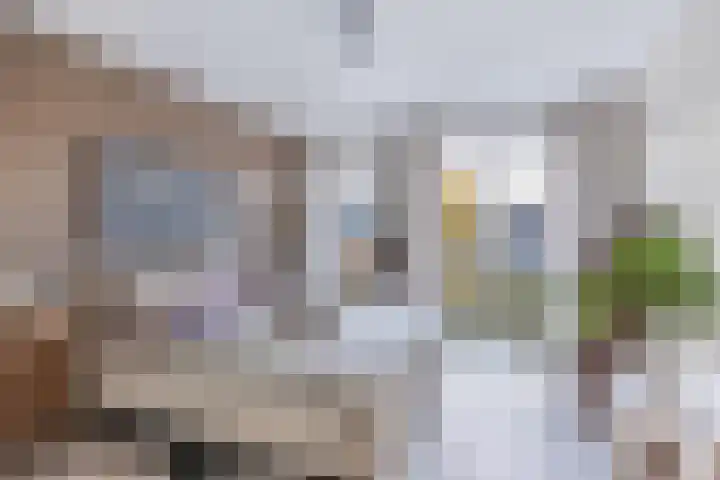 Antonlaan 10 Zeist thumbnail 41