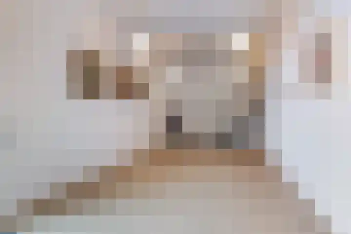 Antonlaan 10 Zeist thumbnail 5
