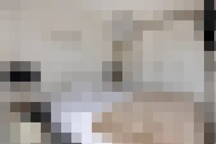 Antonlaan 102 Zeist thumbnail 10