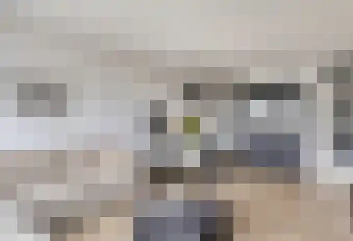 Antonlaan 102 Zeist thumbnail 4