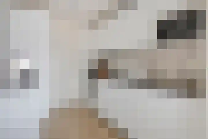 Antonlaan 102 Zeist thumbnail 7