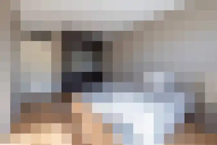 Antonlaan 106 Zeist thumbnail 15