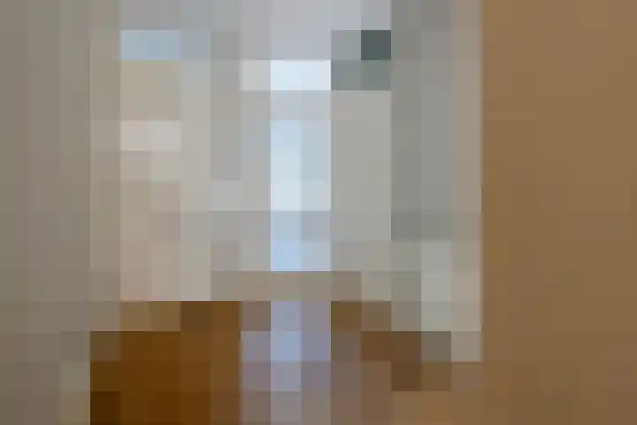 Antonlaan 106 Zeist thumbnail 22