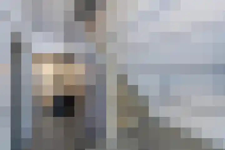 Antonlaan 106 Zeist thumbnail 24