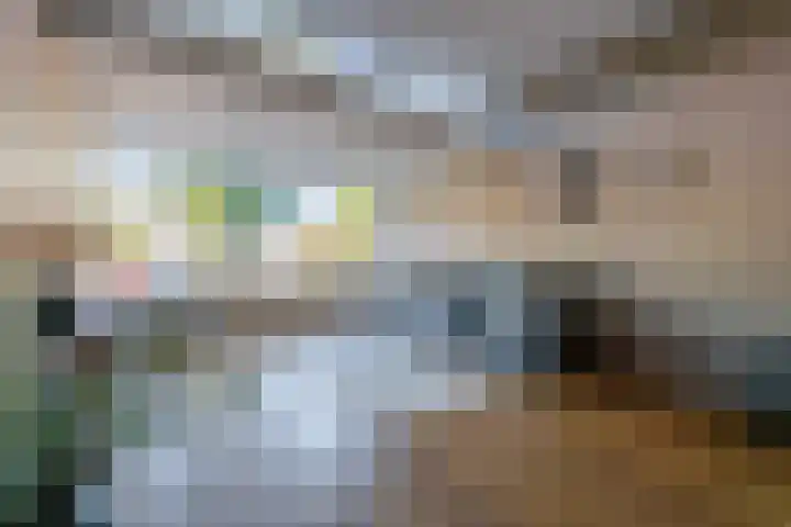 Antonlaan 106 Zeist thumbnail 4