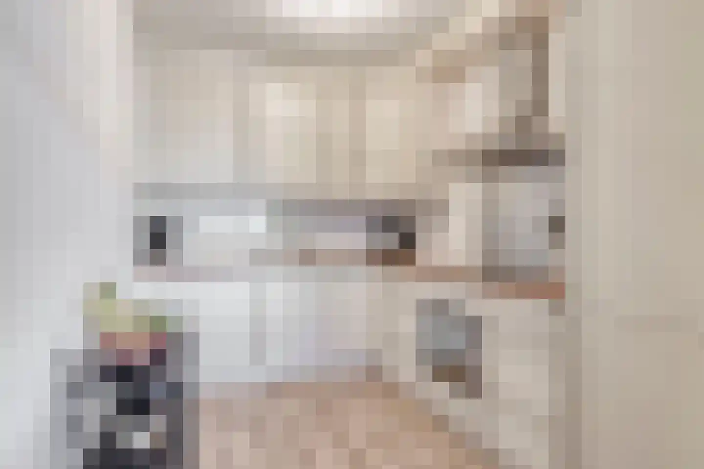 Antonlaan 114 Zeist thumbnail 10