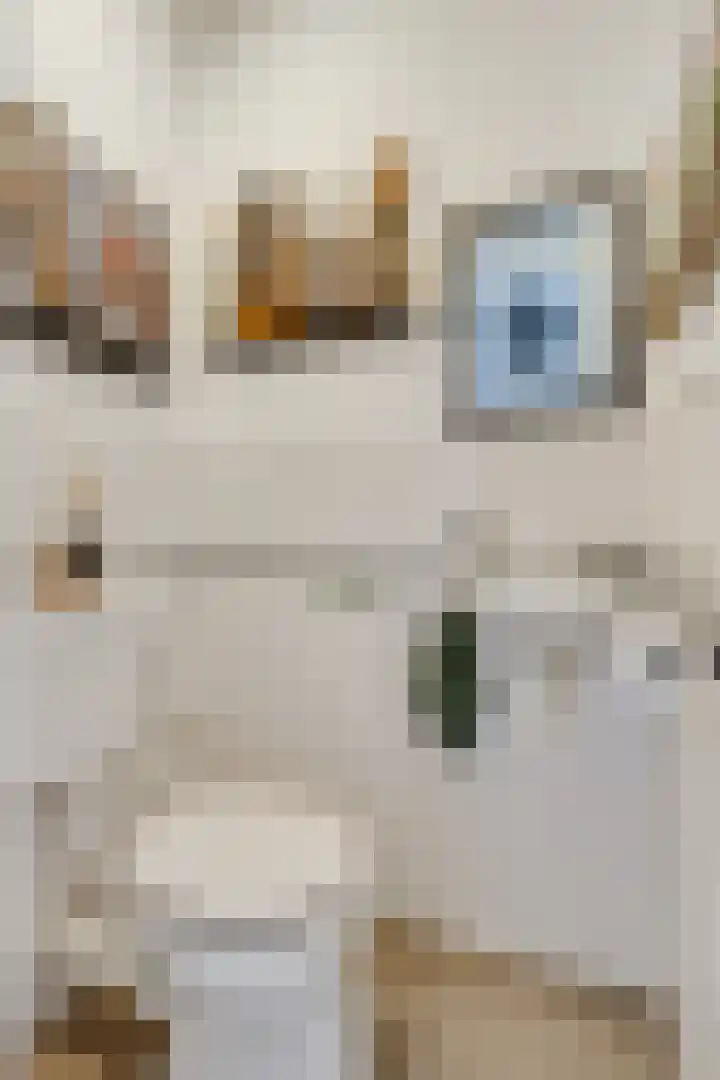 Antonlaan 152 Zeist thumbnail 11