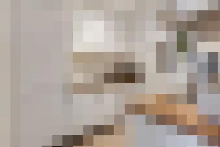 Antonlaan 152 Zeist thumbnail 14
