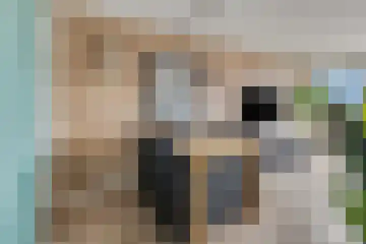 Antonlaan 152 Zeist thumbnail 17