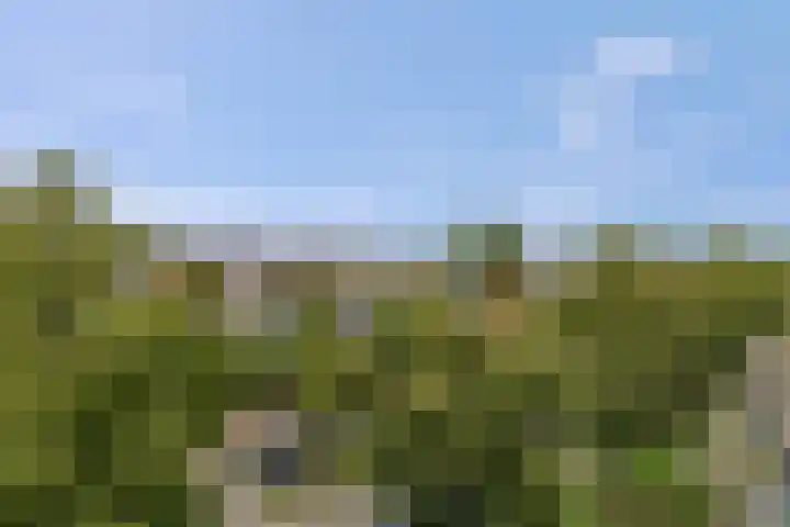Antonlaan 152 Zeist thumbnail 30