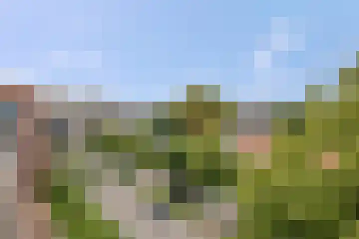 Antonlaan 152 Zeist thumbnail 32