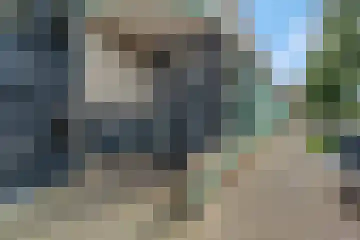 Antonlaan 152 Zeist thumbnail 33