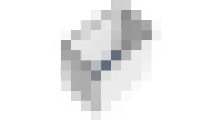 Antonlaan 152 Zeist thumbnail 40