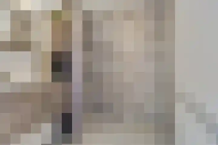 Antonlaan 152 Zeist thumbnail 7