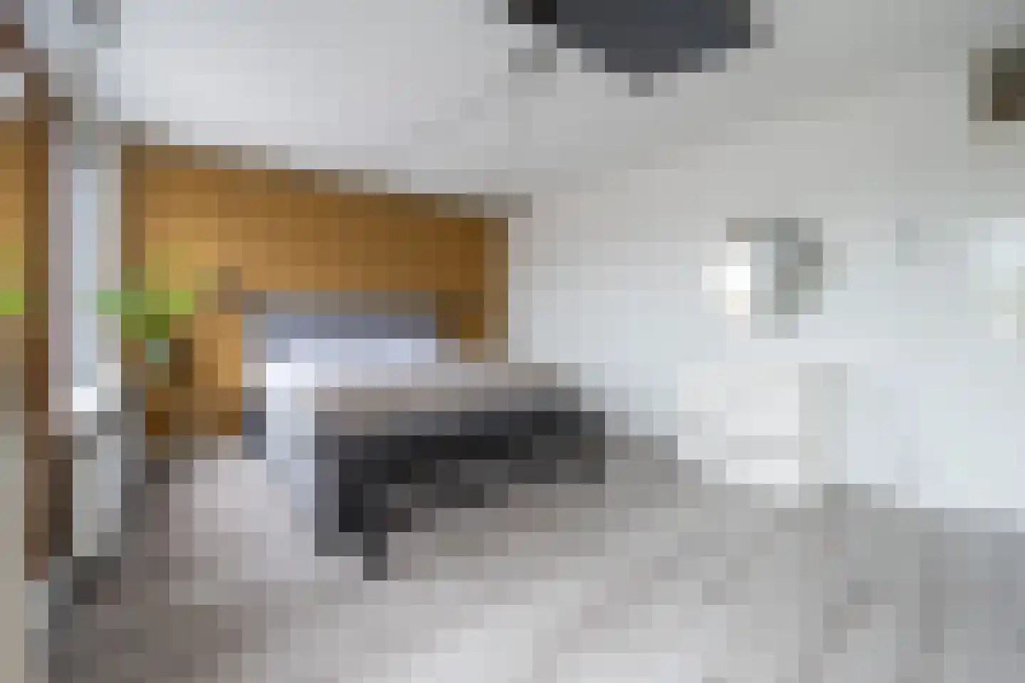Antonlaan 160 Zeist thumbnail 14