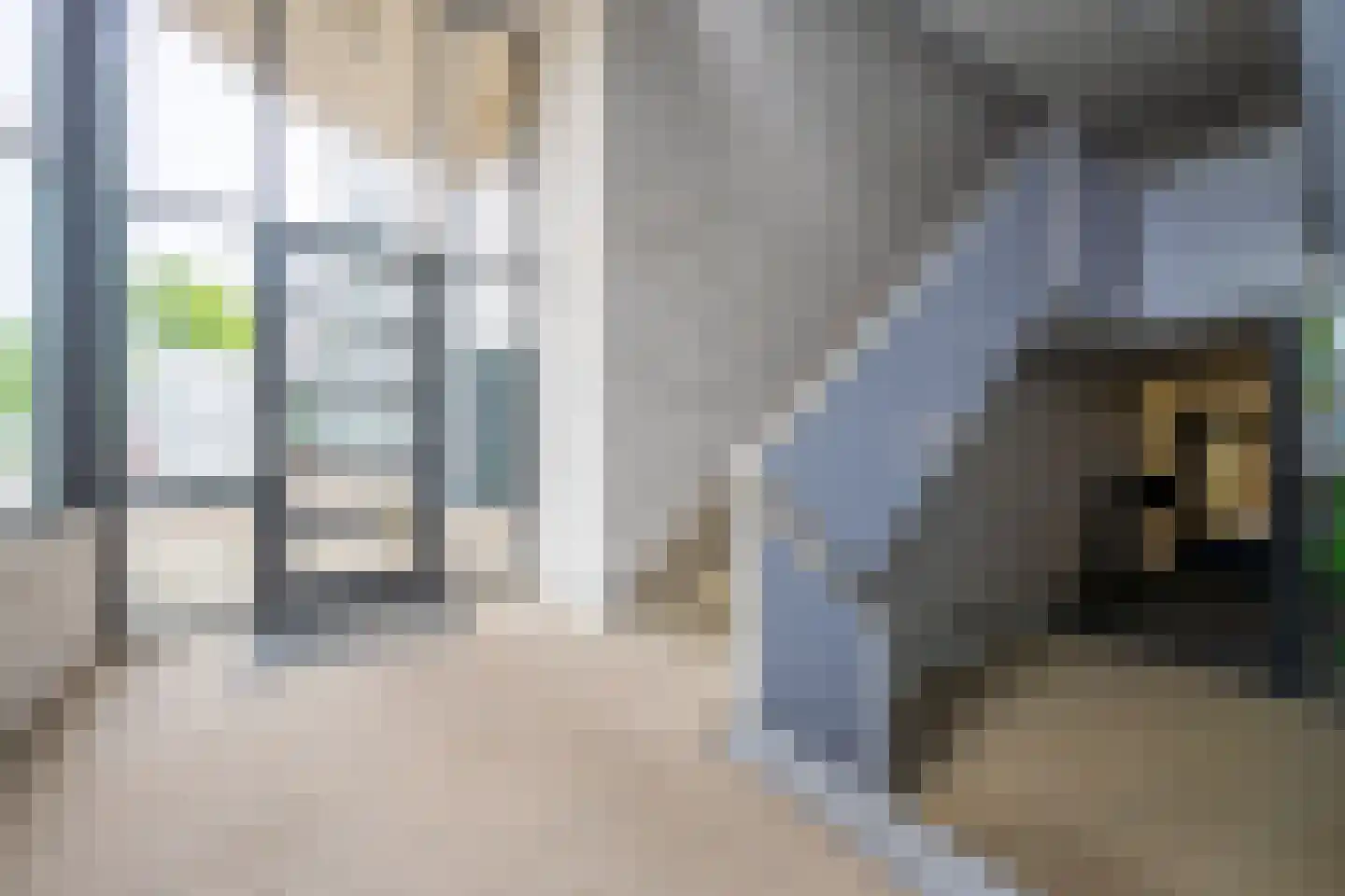 Antonlaan 160 Zeist thumbnail 20