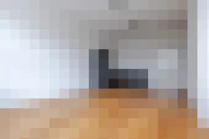 Antonlaan 185 D Zeist thumbnail 11