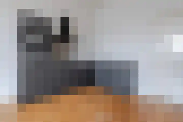 Antonlaan 185 D Zeist thumbnail 12