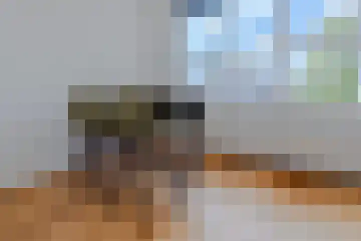 Antonlaan 185 D Zeist thumbnail 13