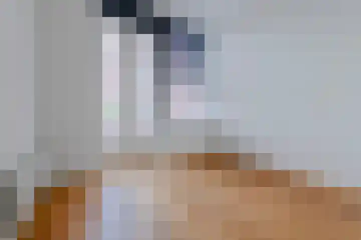 Antonlaan 185 D Zeist thumbnail 15