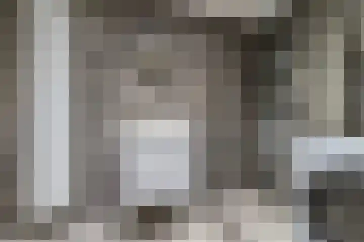 Antonlaan 185 D Zeist thumbnail 18