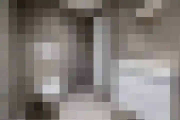 Antonlaan 185 D Zeist thumbnail 19