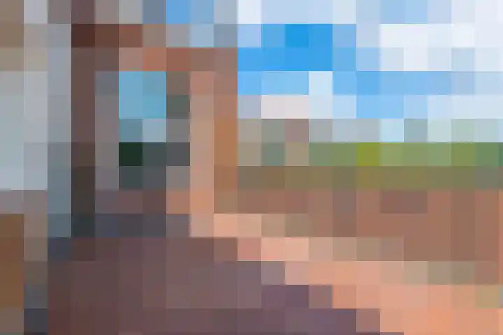 Antonlaan 185 D Zeist thumbnail 21