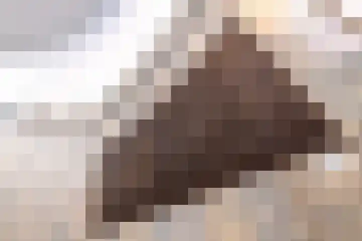 Antonlaan 185 D Zeist thumbnail 24