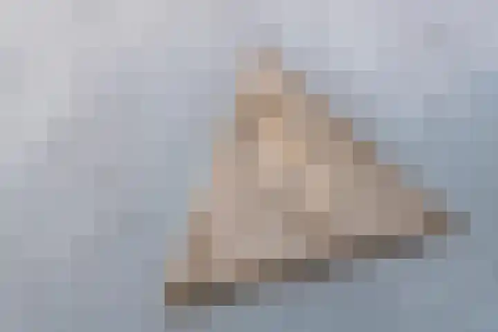 Antonlaan 185 D Zeist thumbnail 25