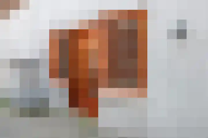 Antonlaan 185 D Zeist thumbnail 4