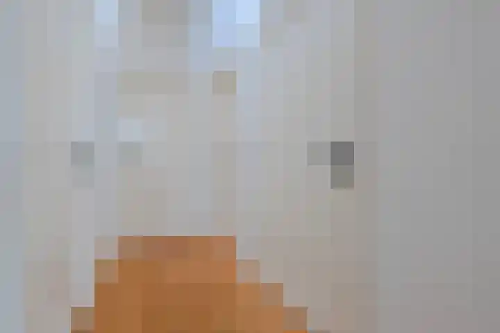 Antonlaan 185 G Zeist thumbnail 14