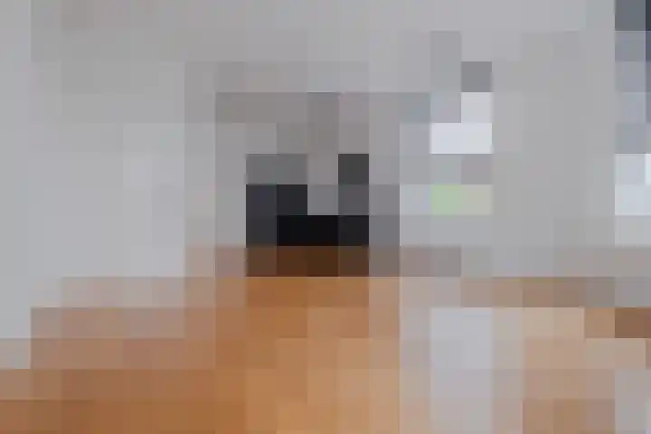 Antonlaan 185 G Zeist thumbnail 8