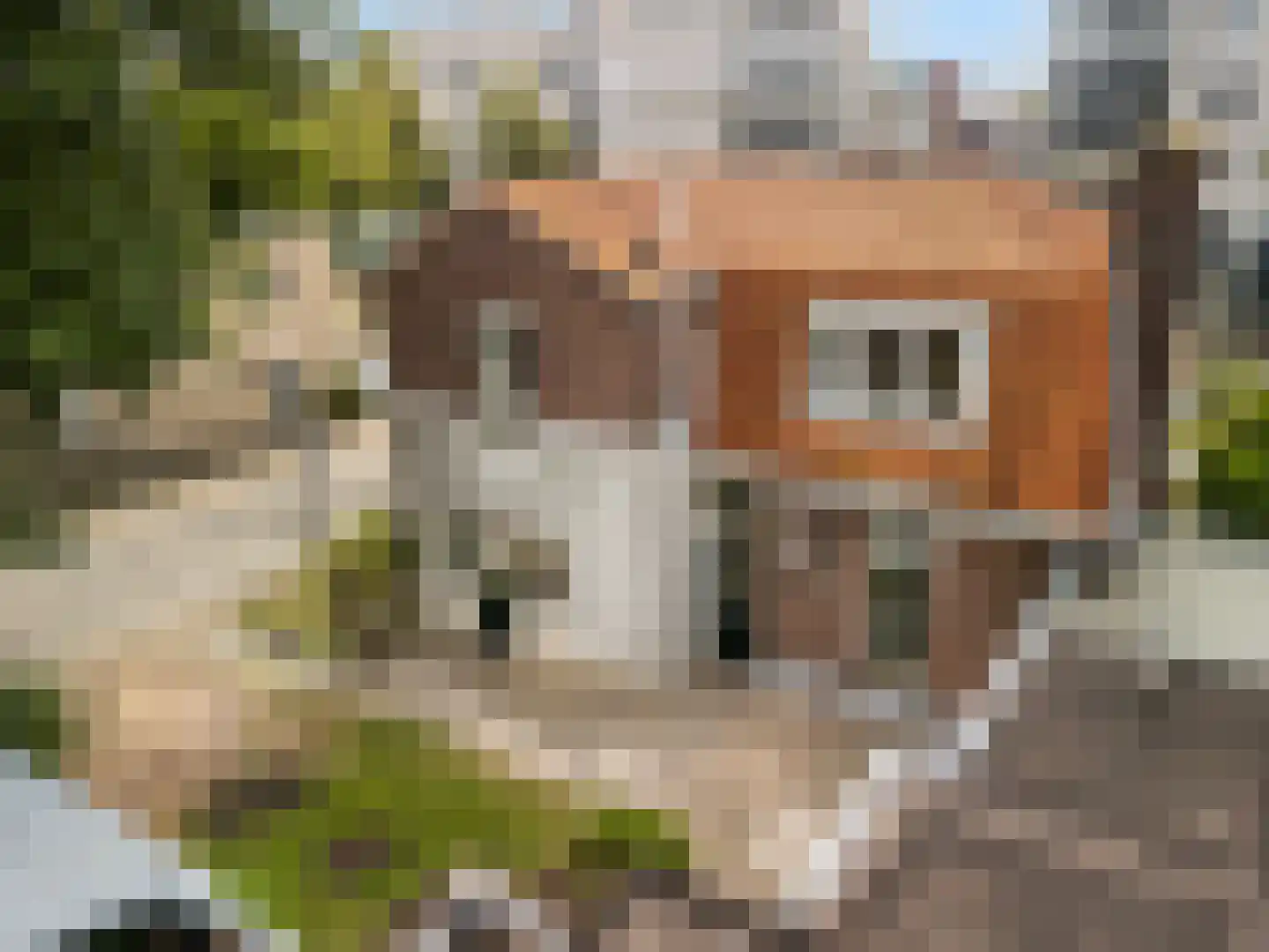 Antonlaan 29 Zeist thumbnail 23