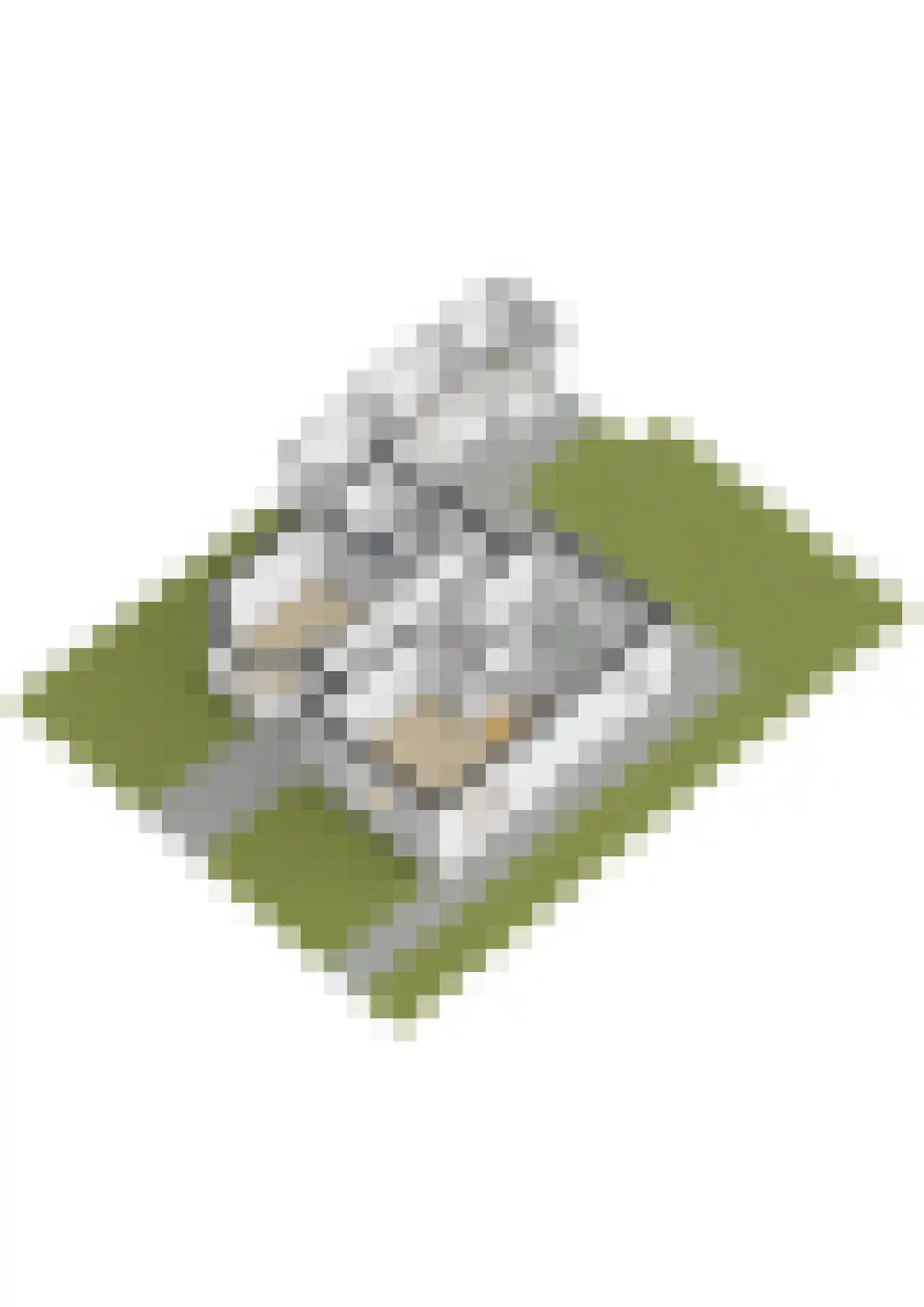 Antonlaan 29 Zeist thumbnail 41