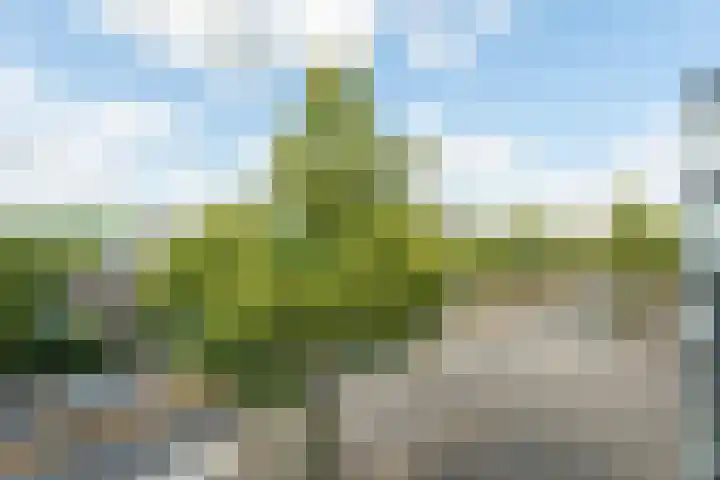 Antonlaan 304 Zeist thumbnail 15