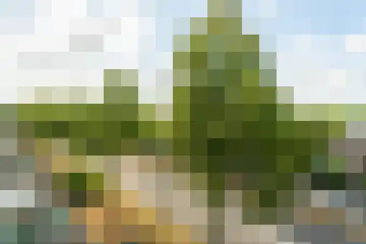 Antonlaan 304 Zeist thumbnail 16