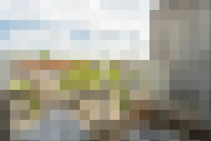Antonlaan 304 Zeist thumbnail 17
