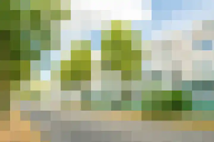 Antonlaan 304 Zeist thumbnail 19