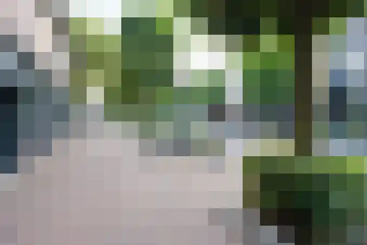 Antonlaan 304 Zeist thumbnail 21