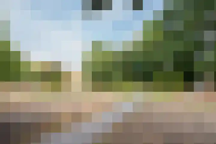 Antonlaan 304 Zeist thumbnail 22