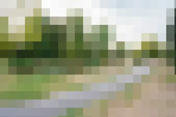 Antonlaan 304 Zeist thumbnail 23