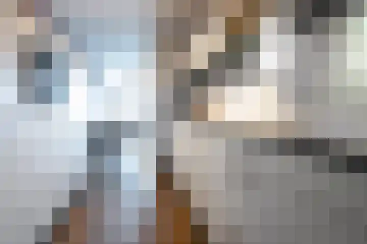 Antonlaan 304 Zeist thumbnail 8
